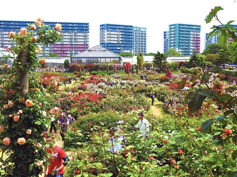 八千代市の風景