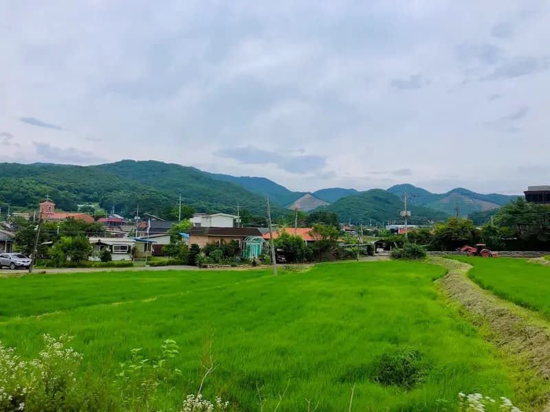 富良野市の風景