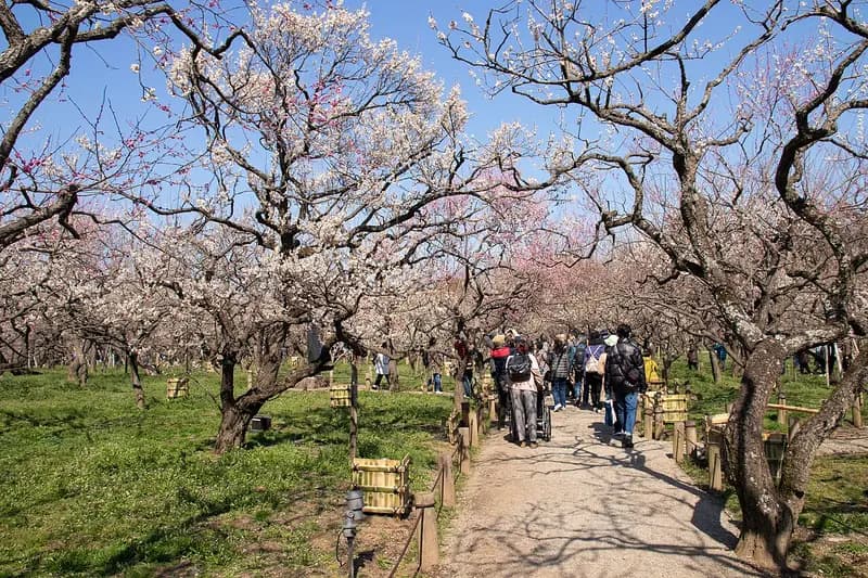 水戸市の風景