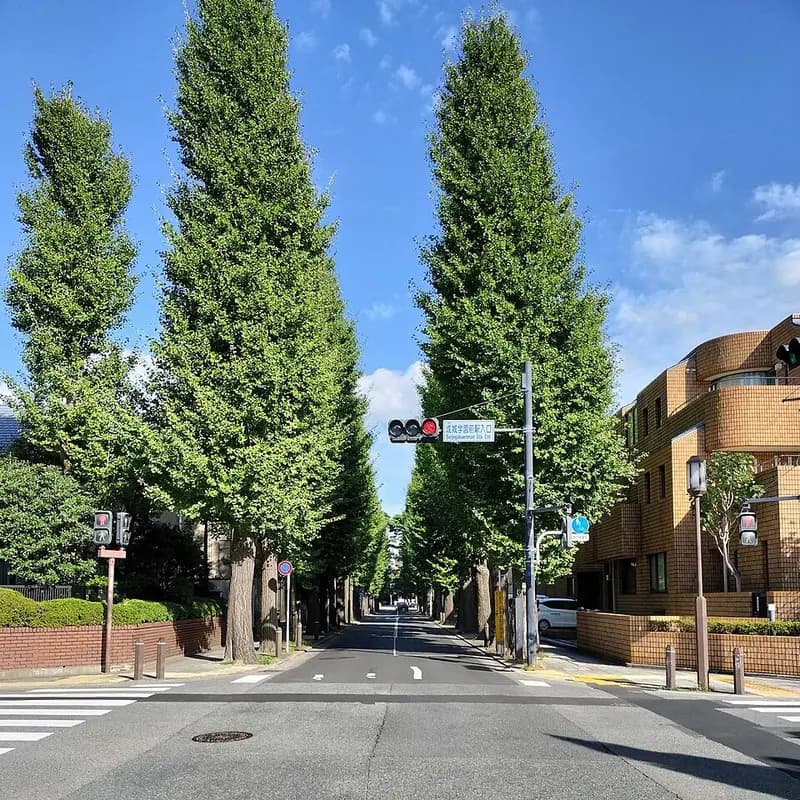 世田谷区の風景